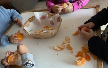 Merenda Merenda